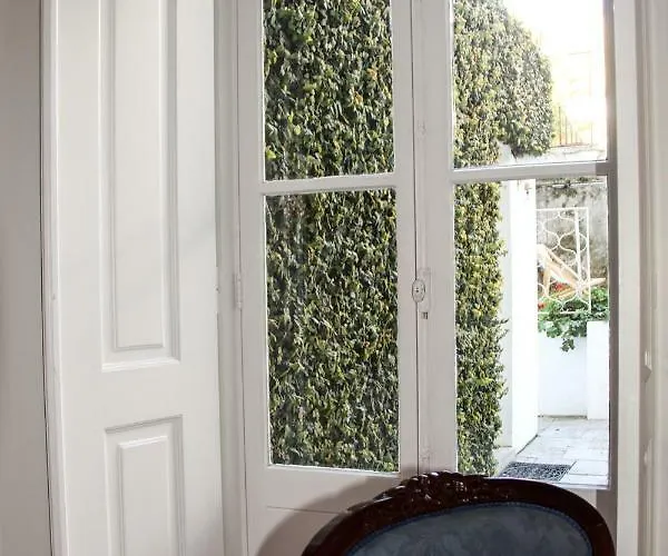 Hortensia Daire Cascais