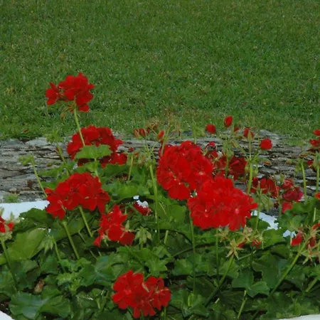 شقة Hortensia كاسكايس